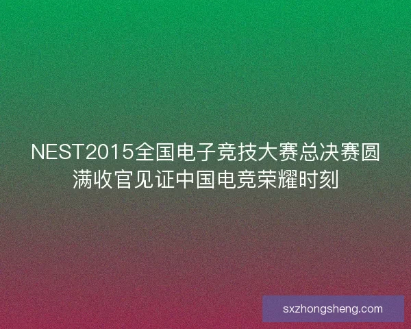 NEST2015全国电子竞技大赛总决赛圆满收官见证中国电竞荣耀时刻