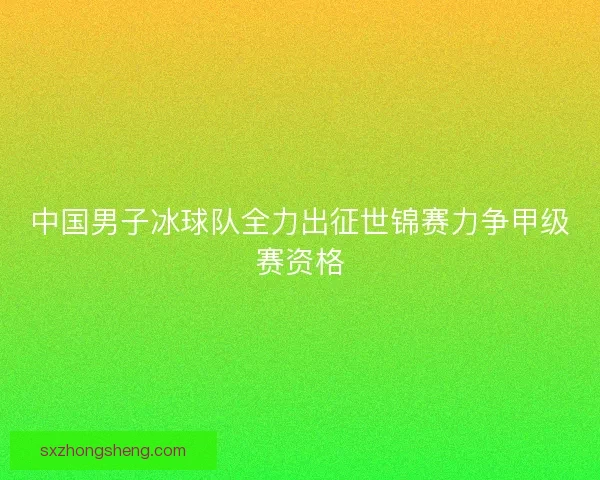 中国男子冰球队全力出征世锦赛力争甲级赛资格