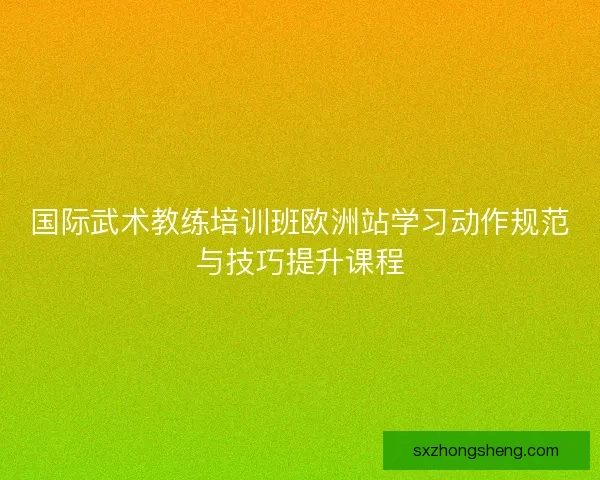 国际武术教练培训班欧洲站学习动作规范与技巧提升课程